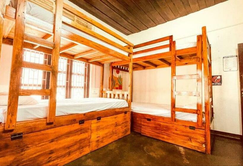 Zebra Hostels