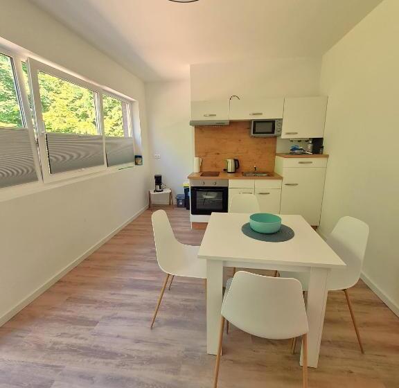 Пансион Apartmenthaus Am Park