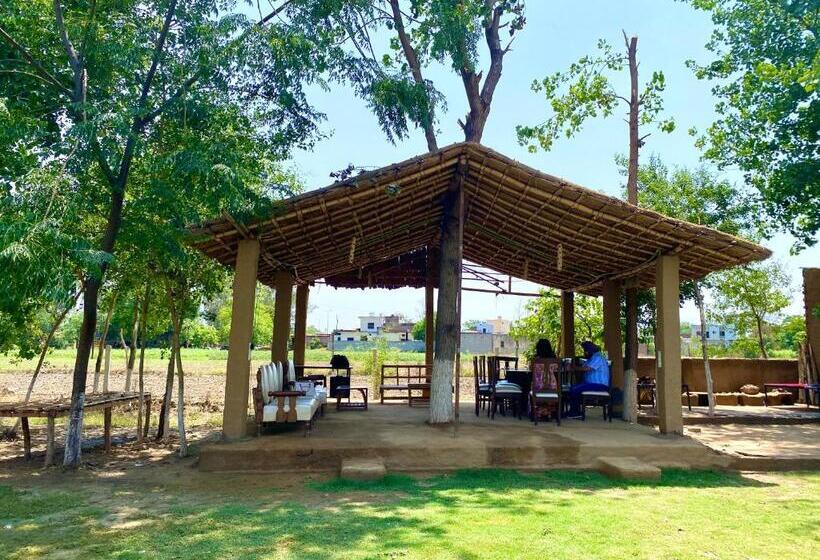 リゾートホテル Virsaa   The Captain S Mud Retreat