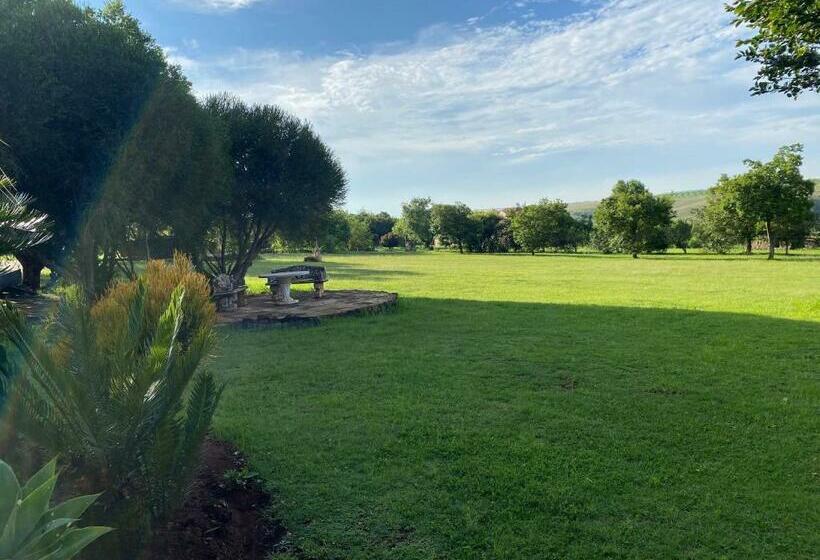 ベッドアンドブレックファースト Kwa Mbandeni Farm Lodge