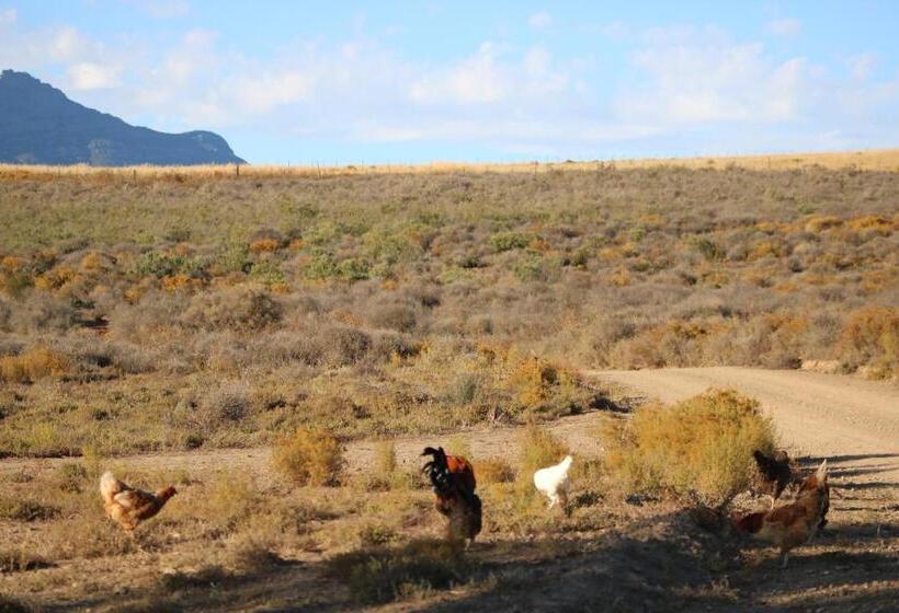 בית מלון כפרי Alchemy Retreat   Entire Karoo Guest Farm   Barrydale