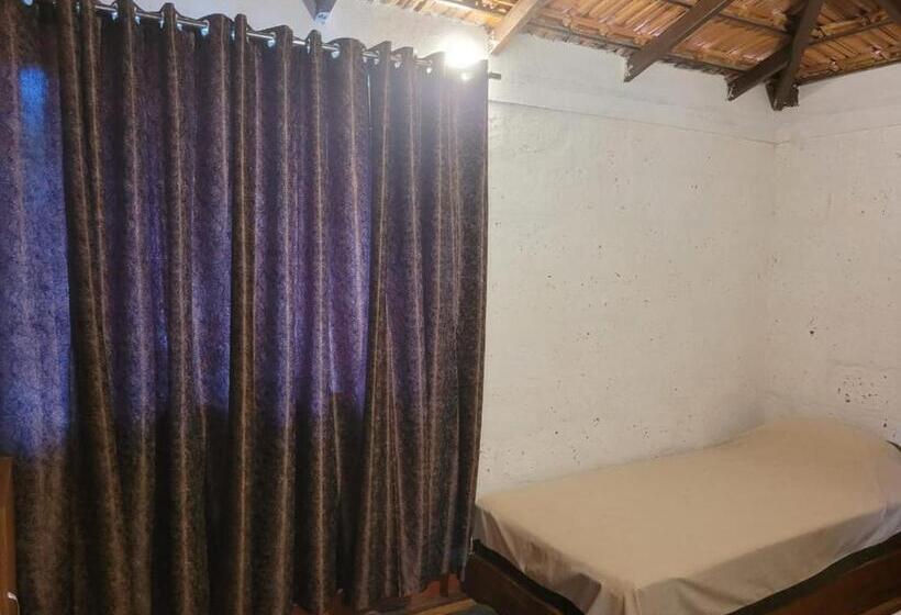 The Dandelion   Colonels Jungle Resort