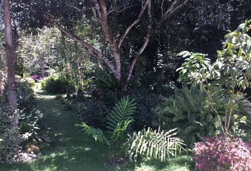 فندق صغير Camiguin Lanzones Resort