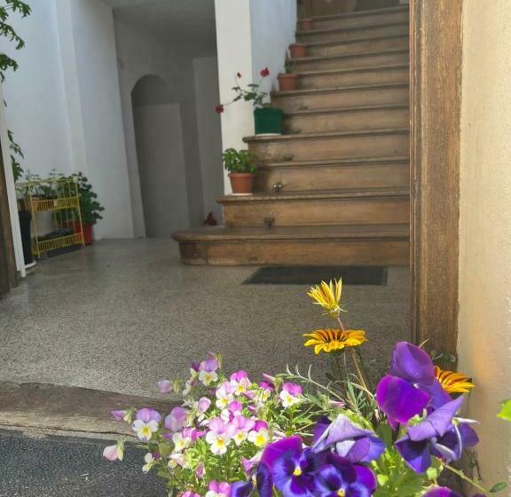 Cisnadie Hostel