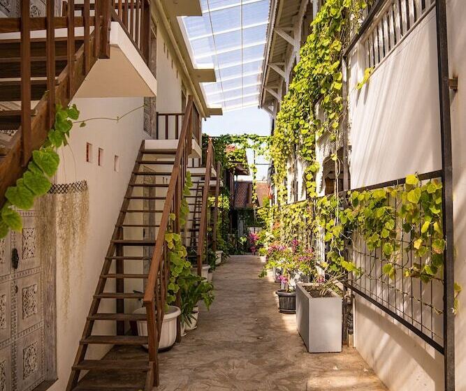 호텔 Mambo Beach Resort
