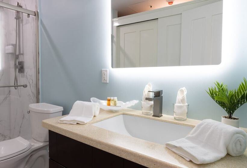 هاستل The New View Inn