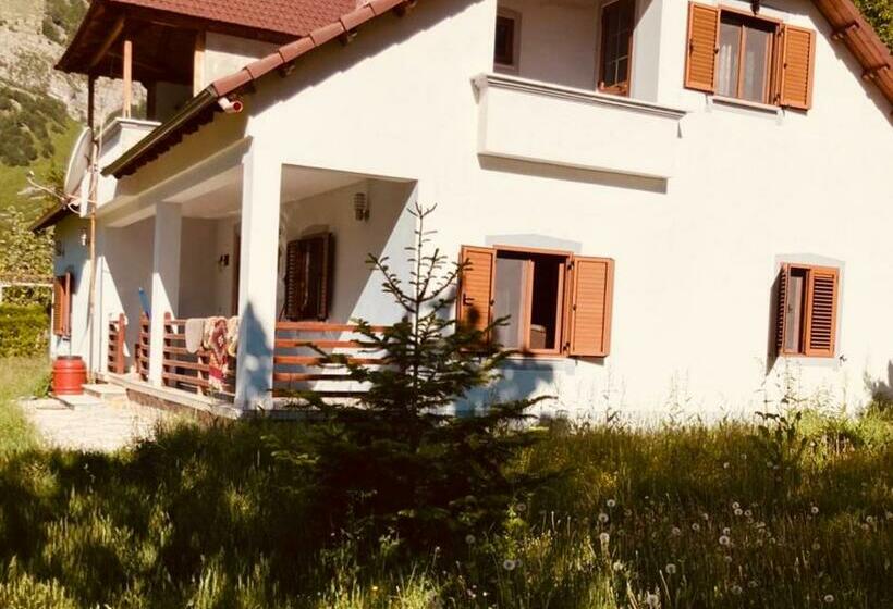 펜션 Paja Guesthouse Camping