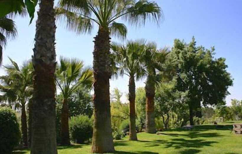 مبيت وإفطار Il Casale Del Sogno