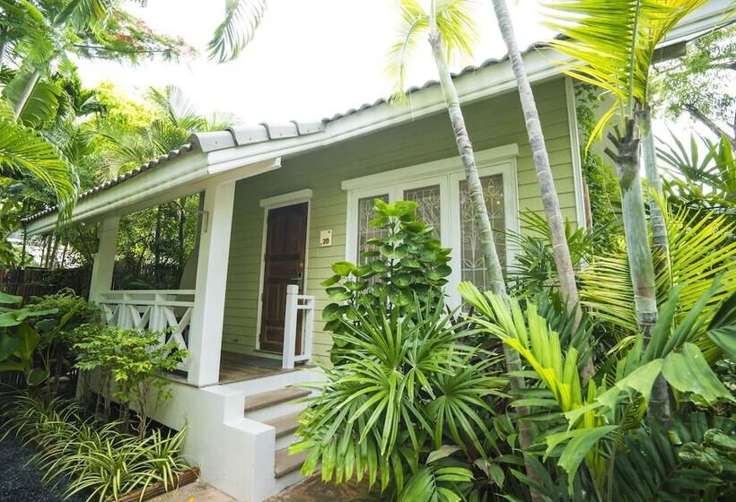 هتل King S Garden Resort   Sha Plus