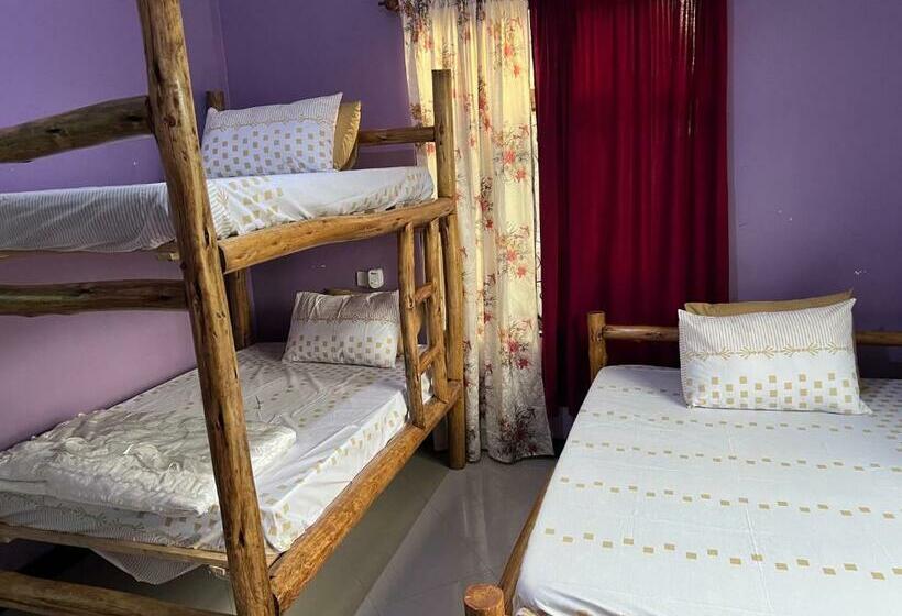 هاستل Evelina House