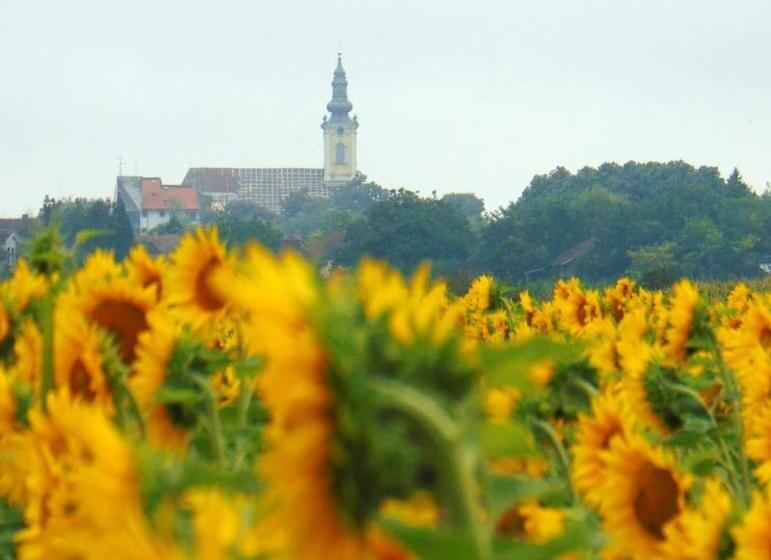 تختخواب و صبحانه Cottage Spa Ada