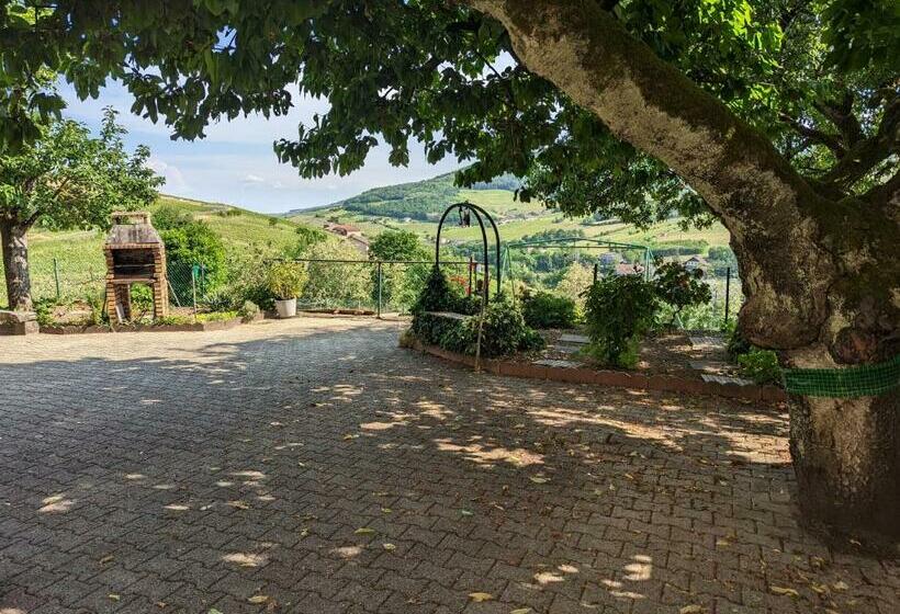 Bed and Breakfast Domaine Viticole Philippe Deschamps