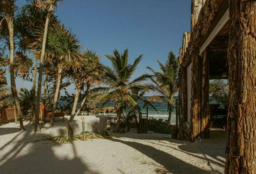 هتل Casa Phoenix Tulum