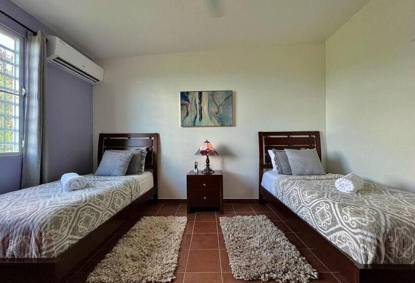 پانسیون Pancho S Paradise   Rainforest Guesthouse With Pool, Gazebo And View
