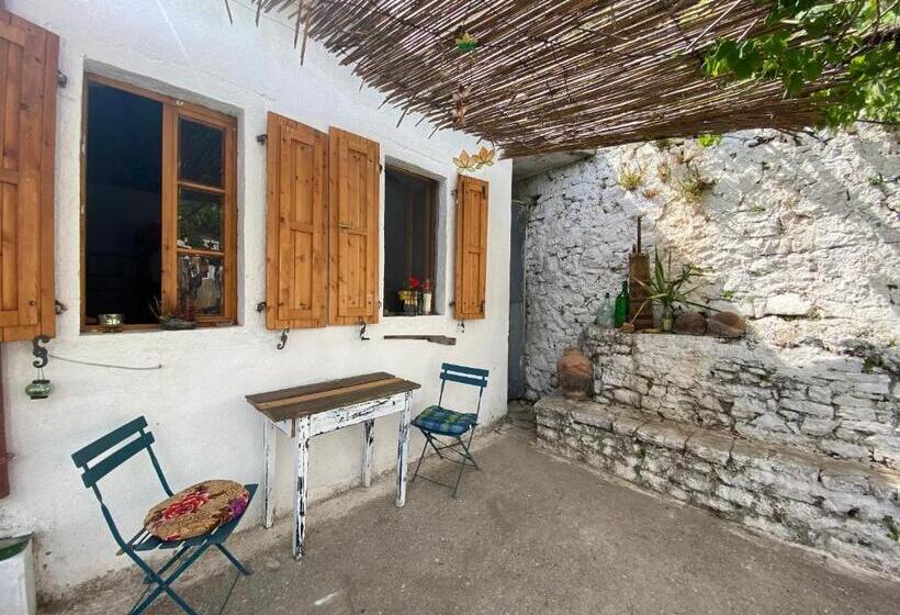 Shotgun Hostel & Guesthouse