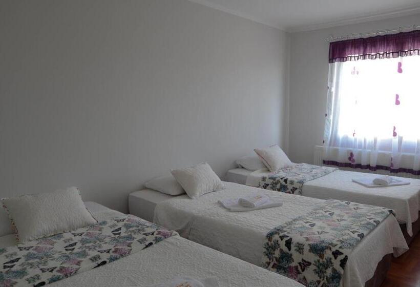 پانسیون Domaćinstvo Sinđelić