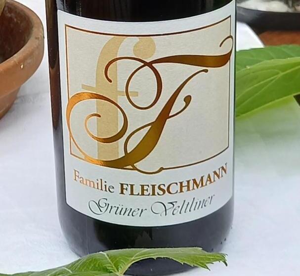 펜션 Winzerhof Fleischmann
