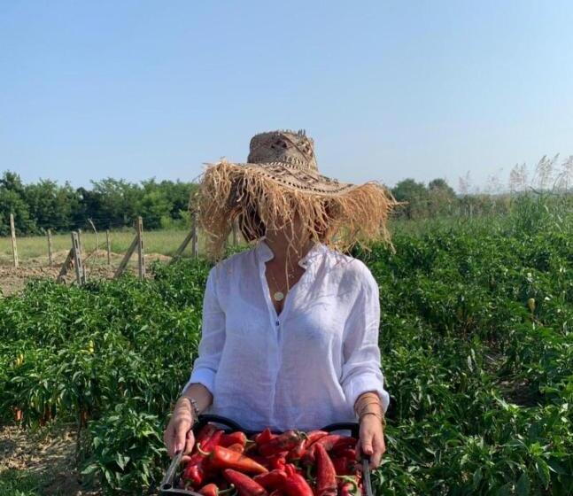 فندق صغير Agroturizem Gjepali