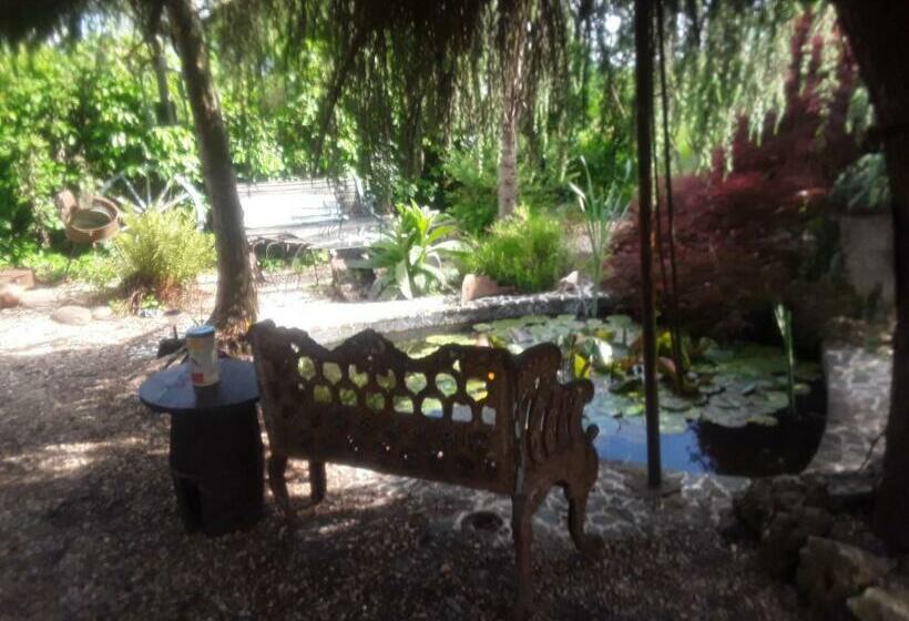 Bed and Breakfast Touch Of Spain In Rural France