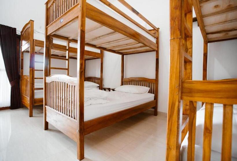 Double D Hostel