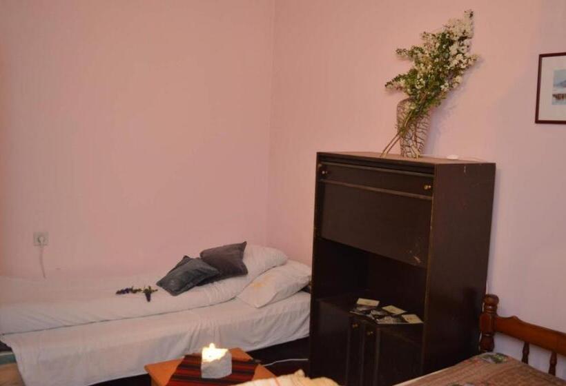 Mystic Forest Hostel