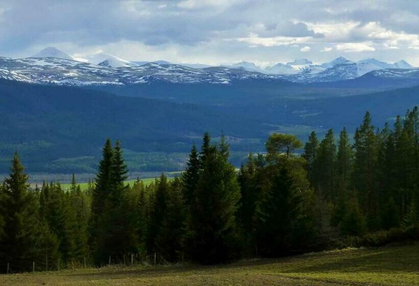 旅馆 Tronsvangen Seter
