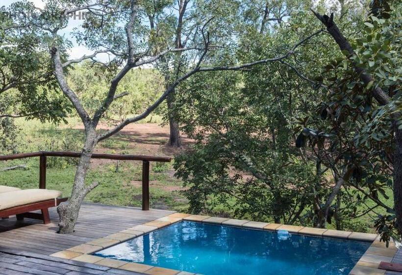 فندق Ndlovu Safari Lodge