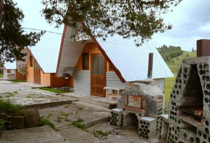 Общежитие Casa Florea