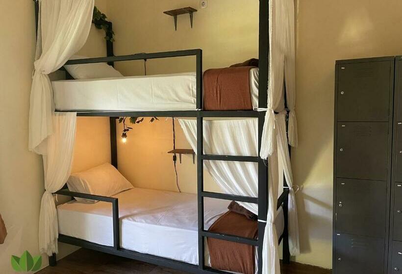 Общежитие The Jungle House