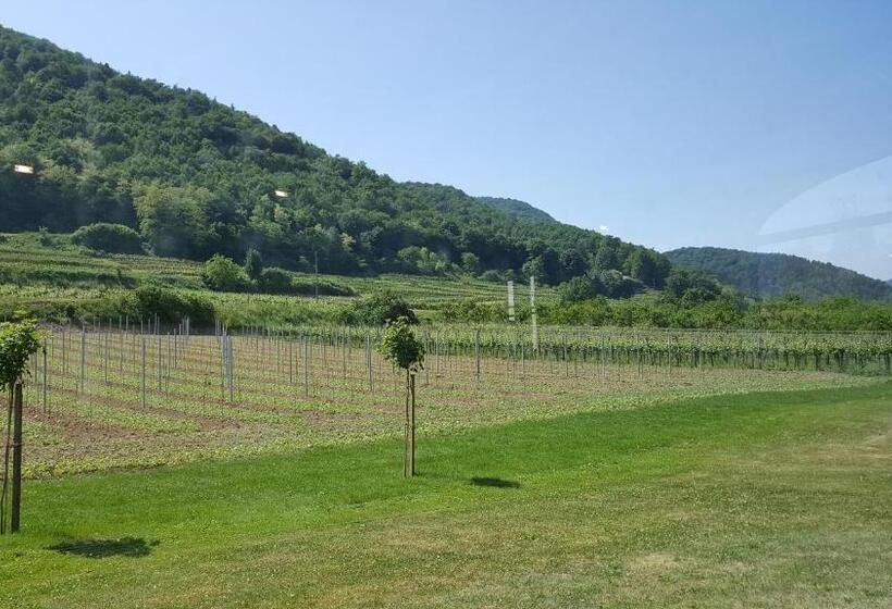 호텔 Gasthof Zur Wachau
