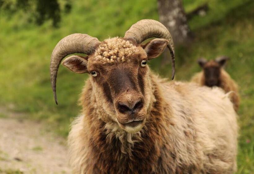 בית מלון כפרי Sygard Storrvik