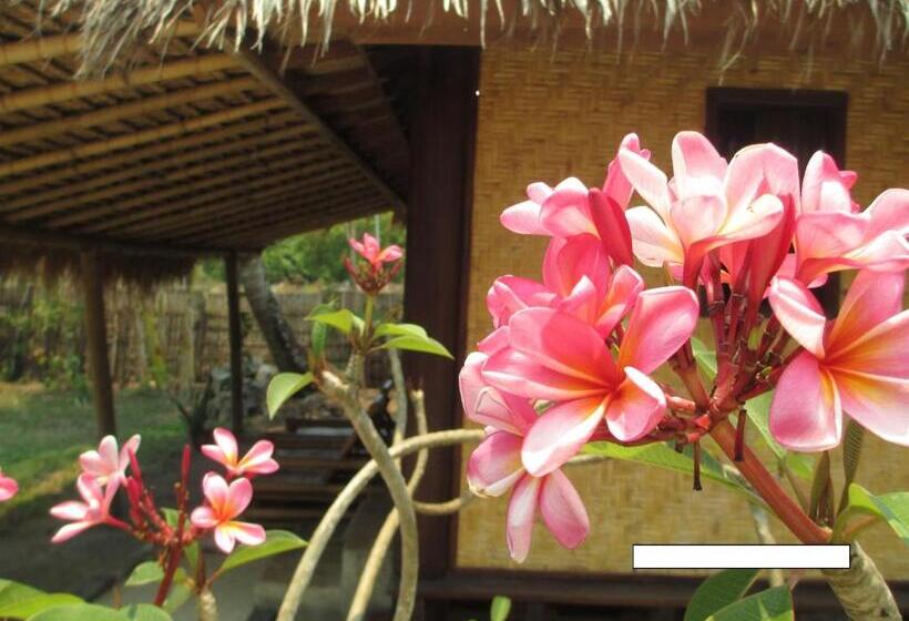 פנסיון Selong Belanak Bungalows