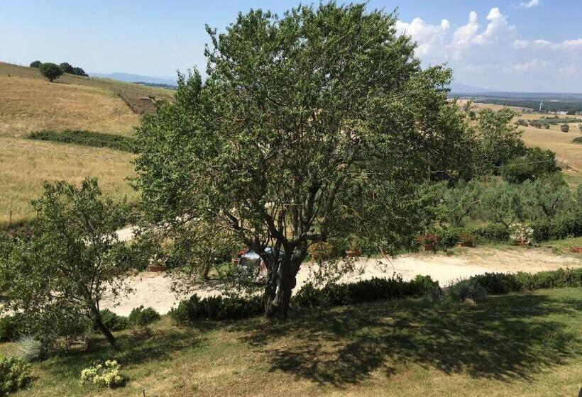 ホテル Agriturismo Terre Di Musignano