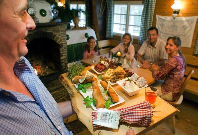 Пансион Almdorf Tonnerhütte