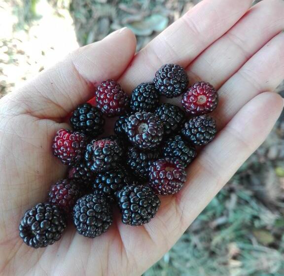 هاستل San Agustín Wayrana