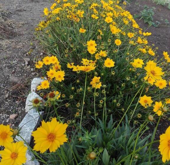 هاستل San Agustín Wayrana