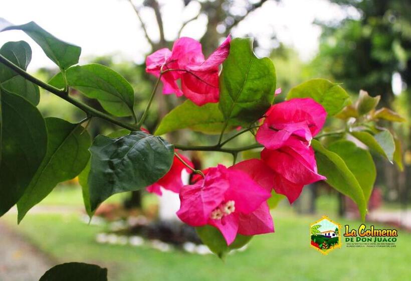 هتل Finca La Colmena De Don Juaco