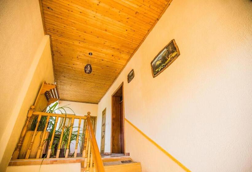 פנסיון Guest House In Drachino