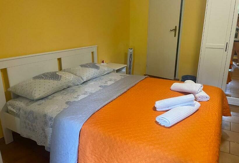 پانسیون Room House Elena