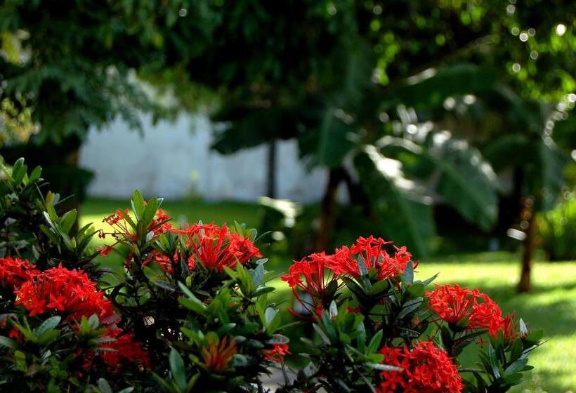 בית מלון כפרי Pousada Salvador Paradise