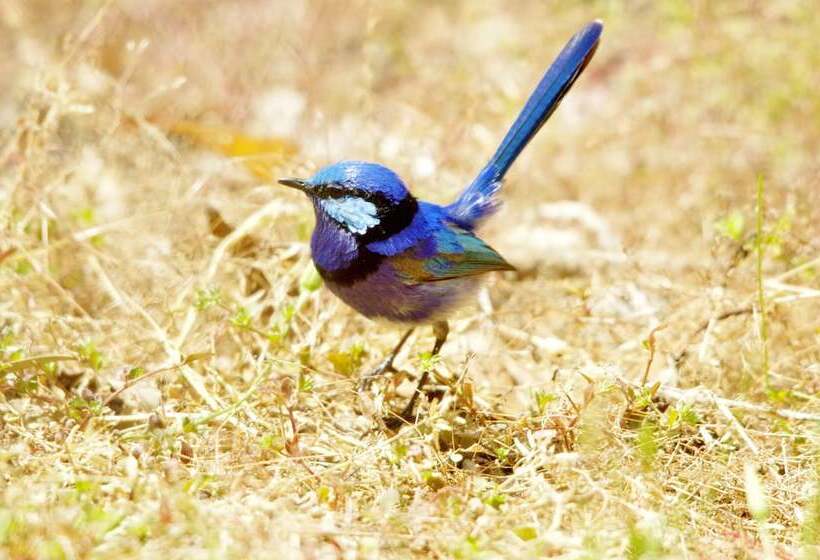 فندق Yelverton Brook Conservation Sanctuary