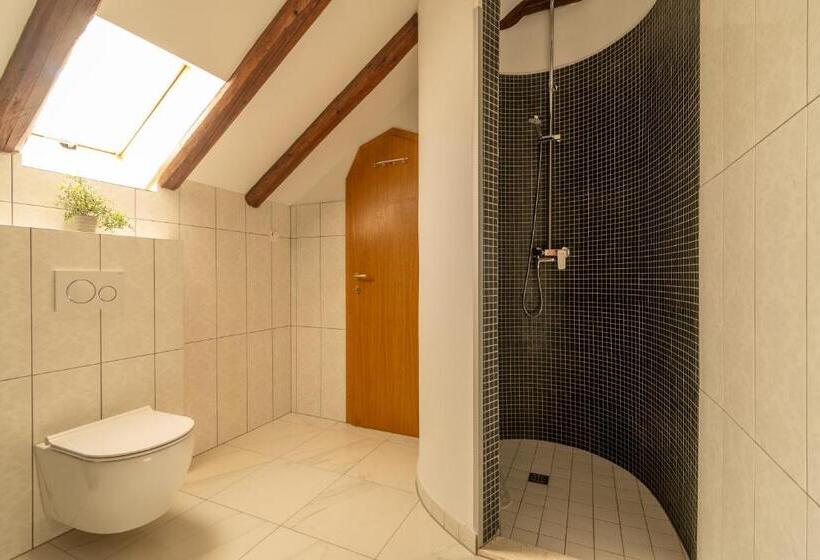 펜션 B&b Heritage Villa Apolon