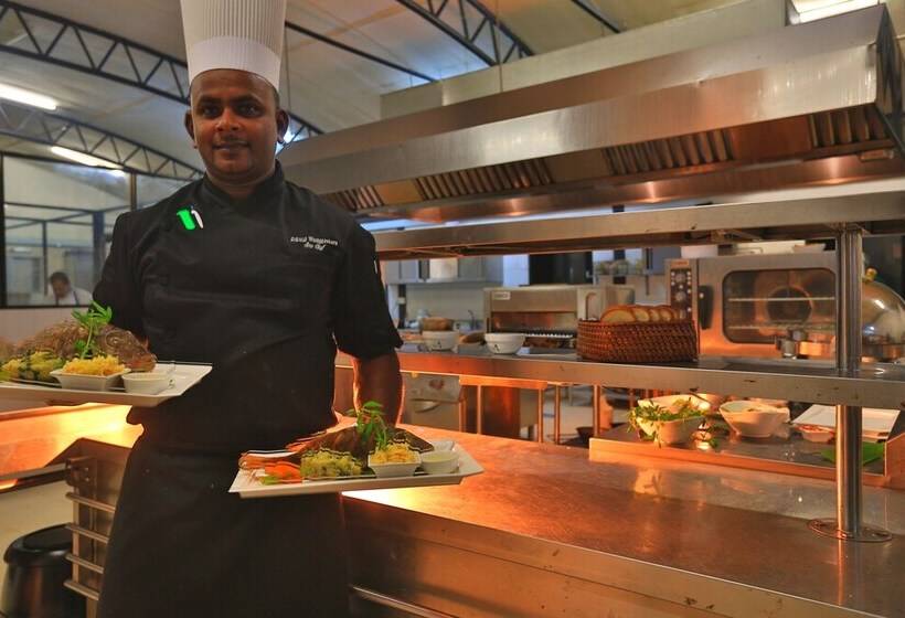 The Rainforest Ecolodge