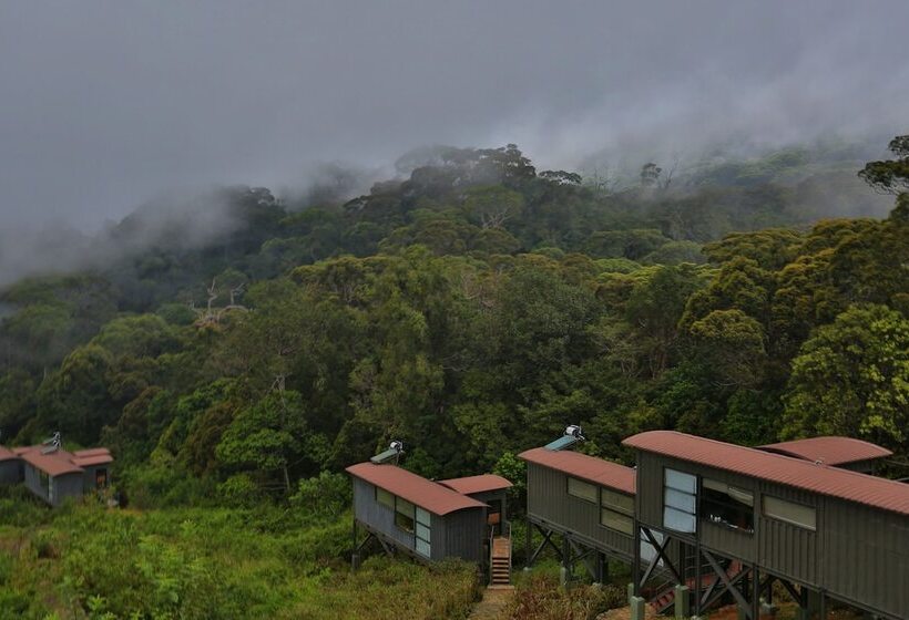 The Rainforest Ecolodge