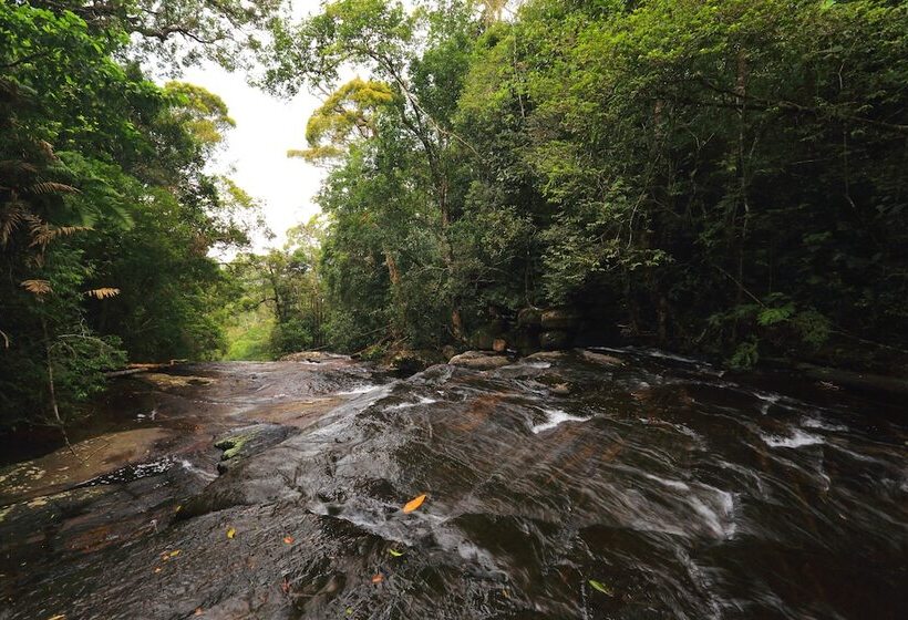 The Rainforest Ecolodge