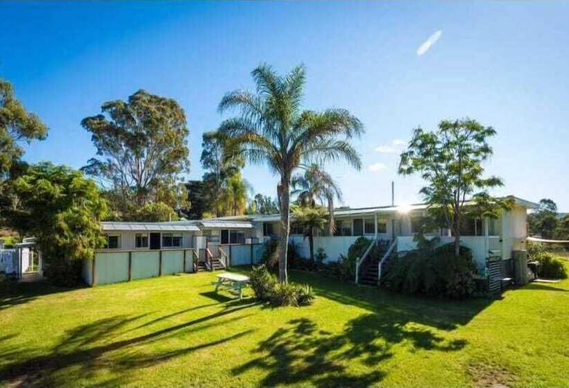 Top Of The Lake Units