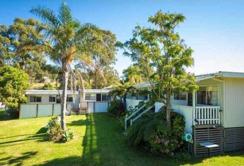 Top Of The Lake Units