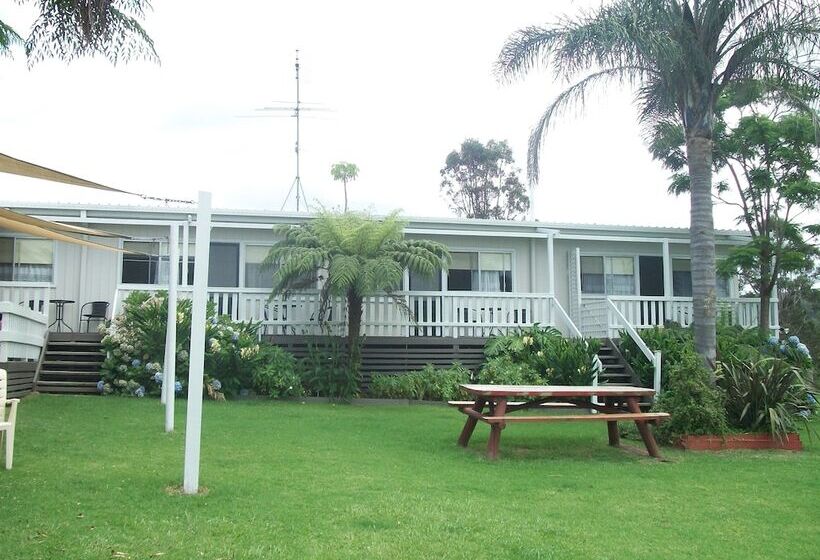 Top Of The Lake Units