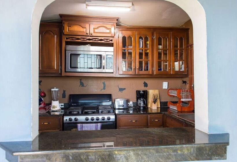 Modern Bilton Apartment