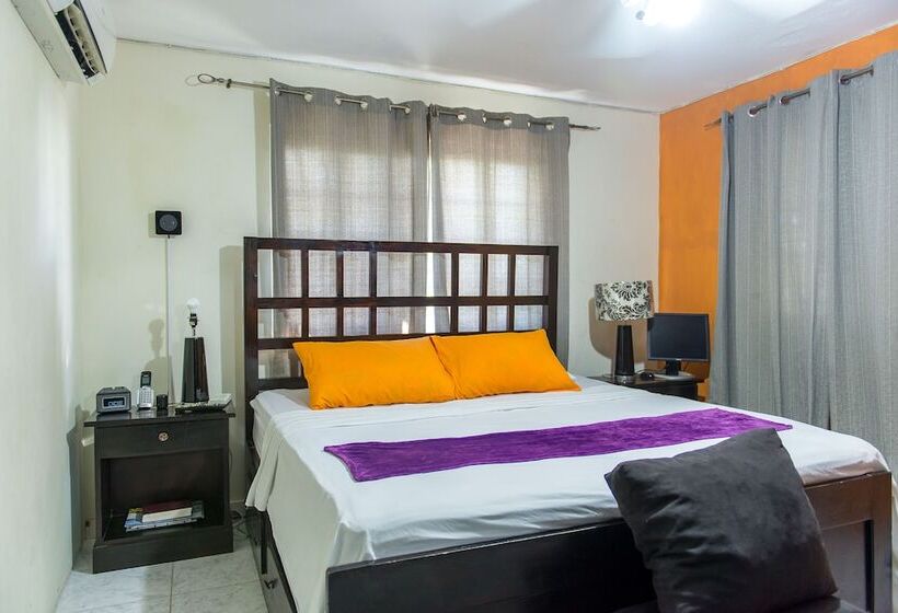 Modern Bilton Apartment
